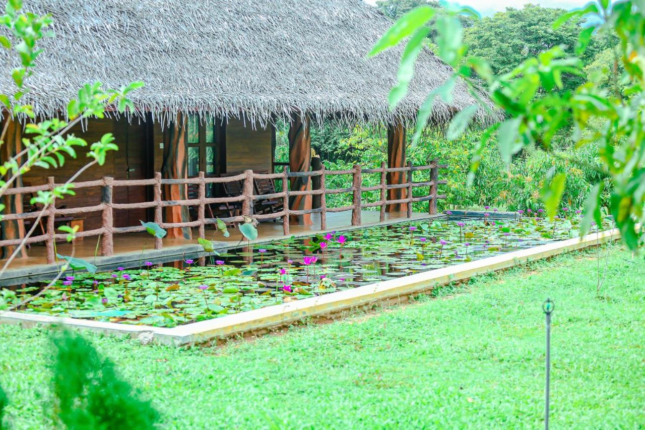 Sigiriya Water Cottage Экстерьер фото