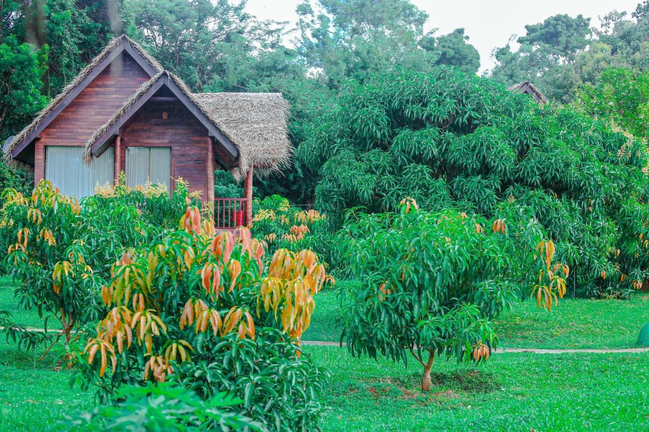 Sigiriya Water Cottage Экстерьер фото