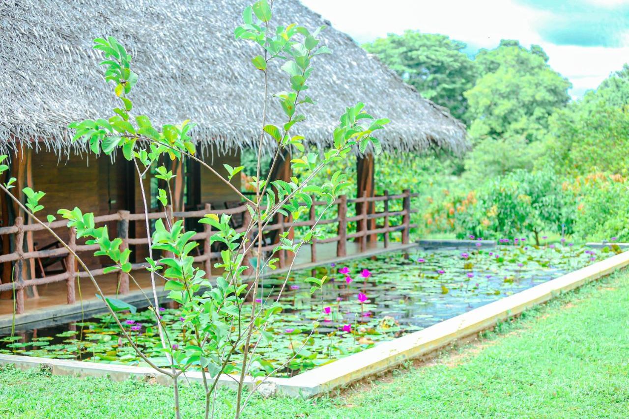 Sigiriya Water Cottage Экстерьер фото